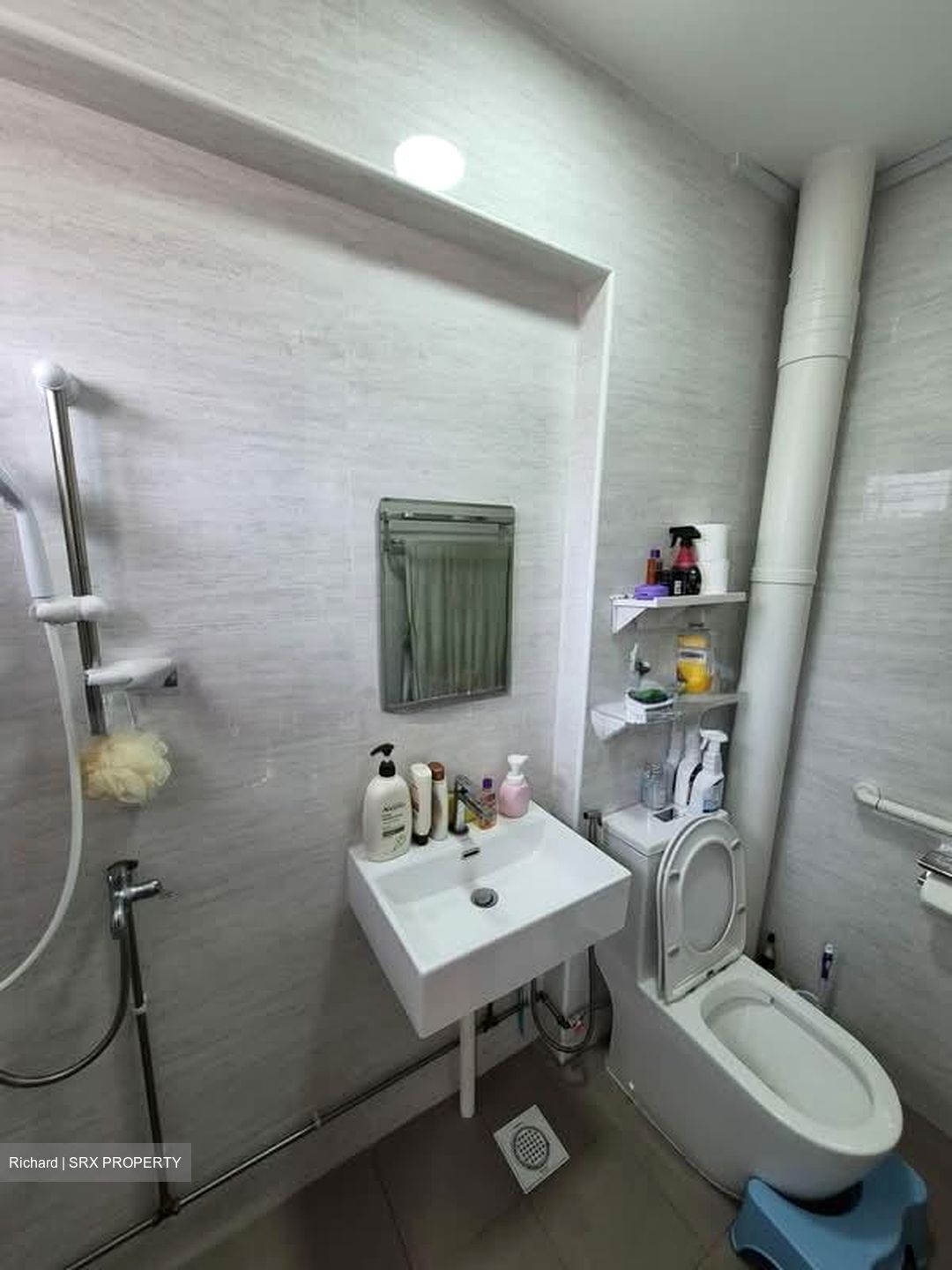 Blk 272 Bishan Street 24 (Bishan), HDB 4 Rooms #566497891